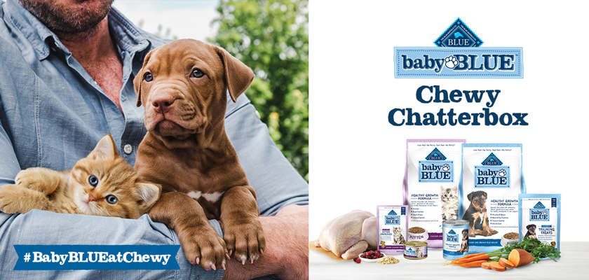 Free Blue Buffalo Baby BLUE ​Chewy Chatterbox Kit